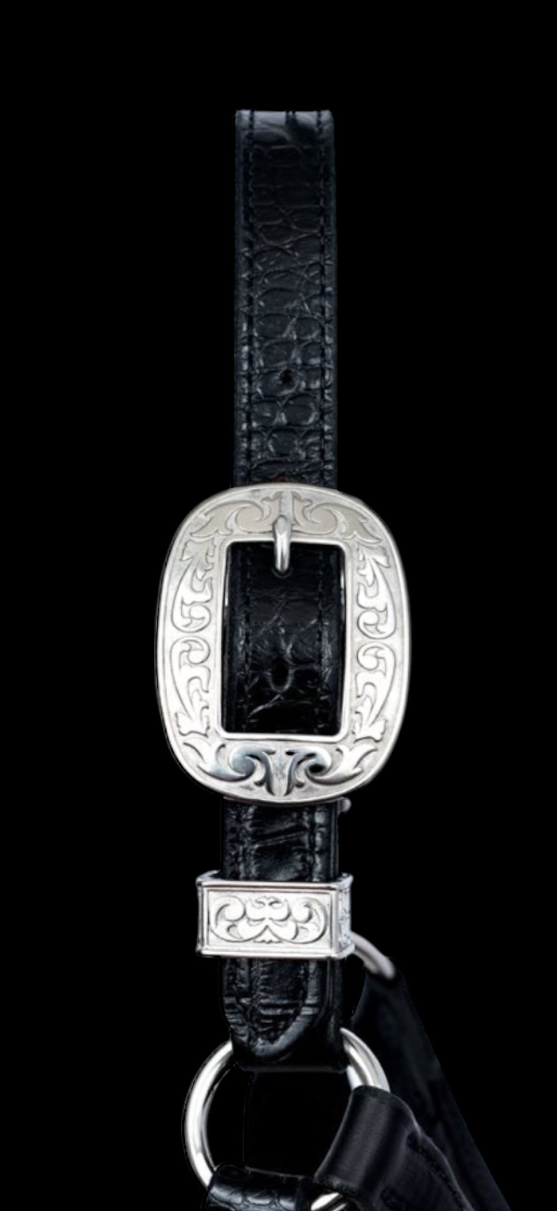 Show Halter Buckles