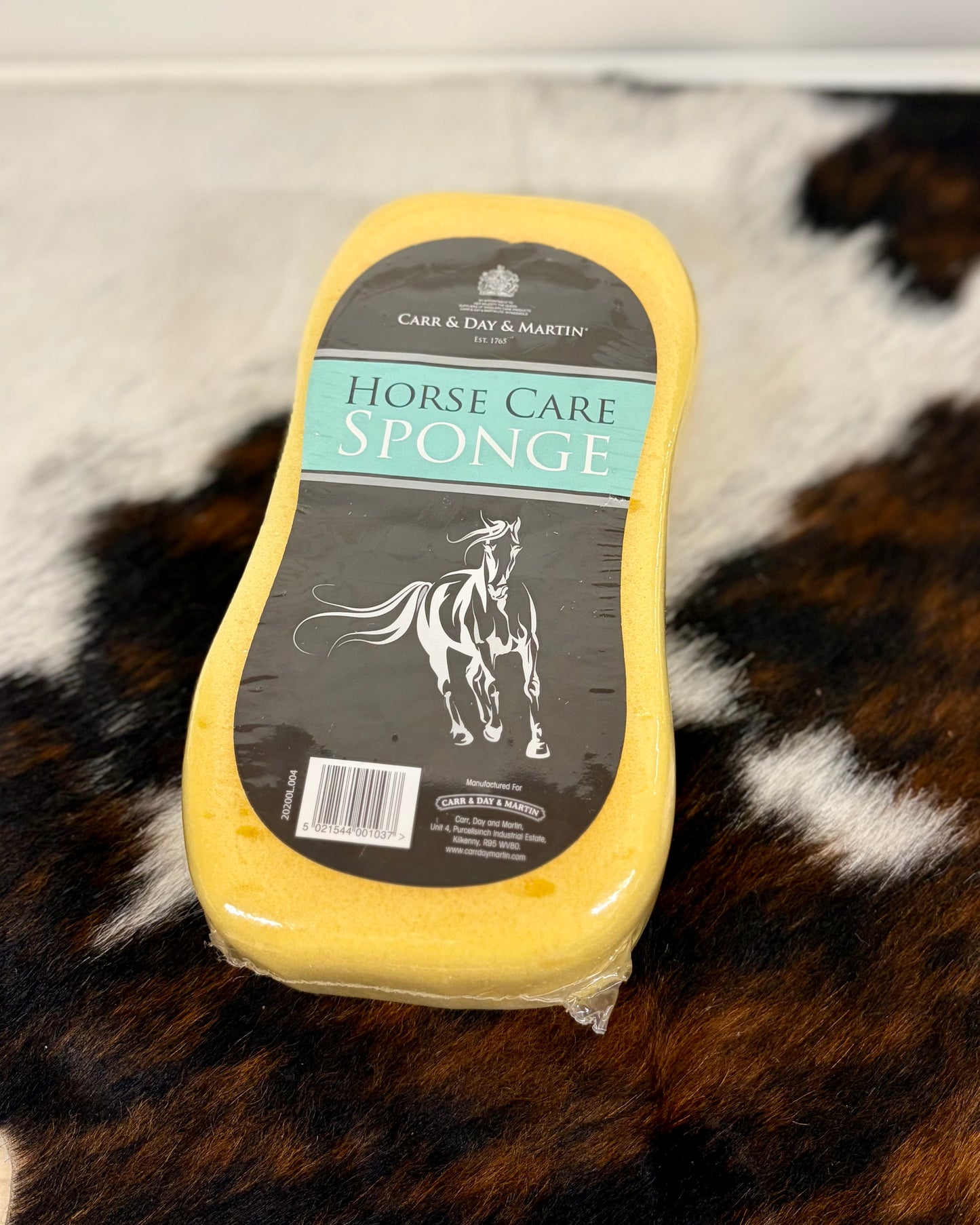 Large Sponge