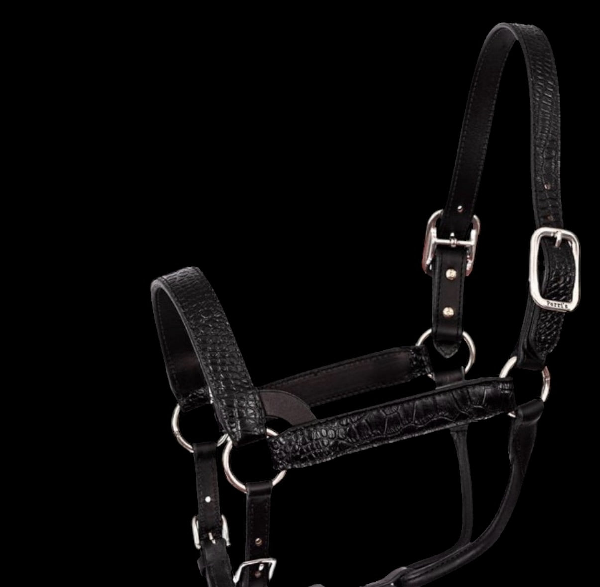 Western Crocodile Embossed Show Halter - Black