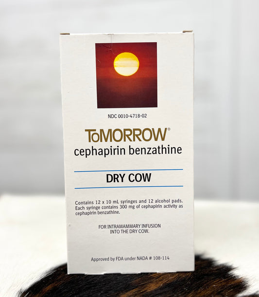 ToMORROW Dry Cow Mastitis Treatment