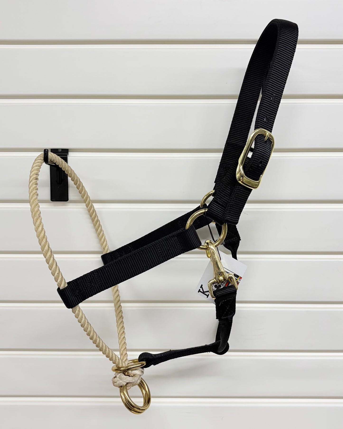 Lunging Halter