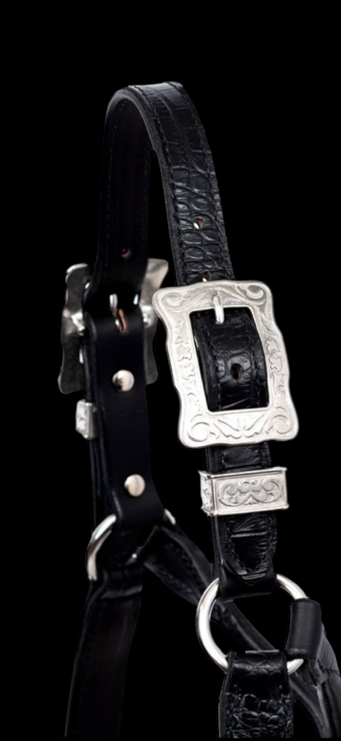 Show Halter Buckles