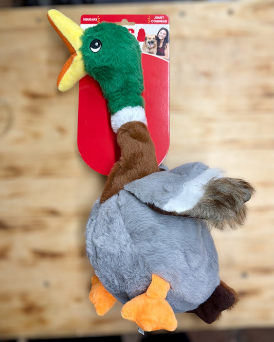 Kong Duck Dog Toy