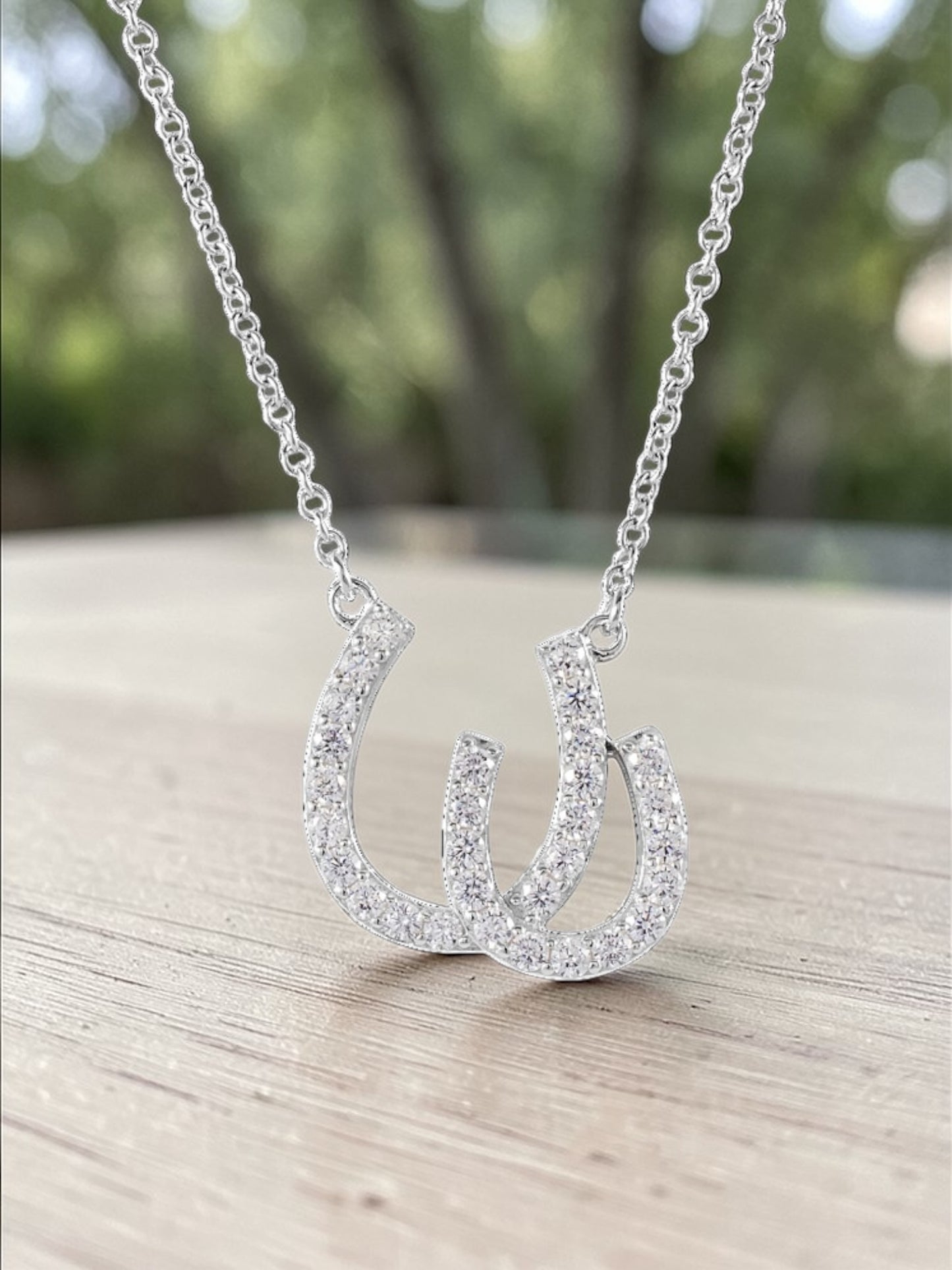 Kelly Herd Double Horseshoe Necklace