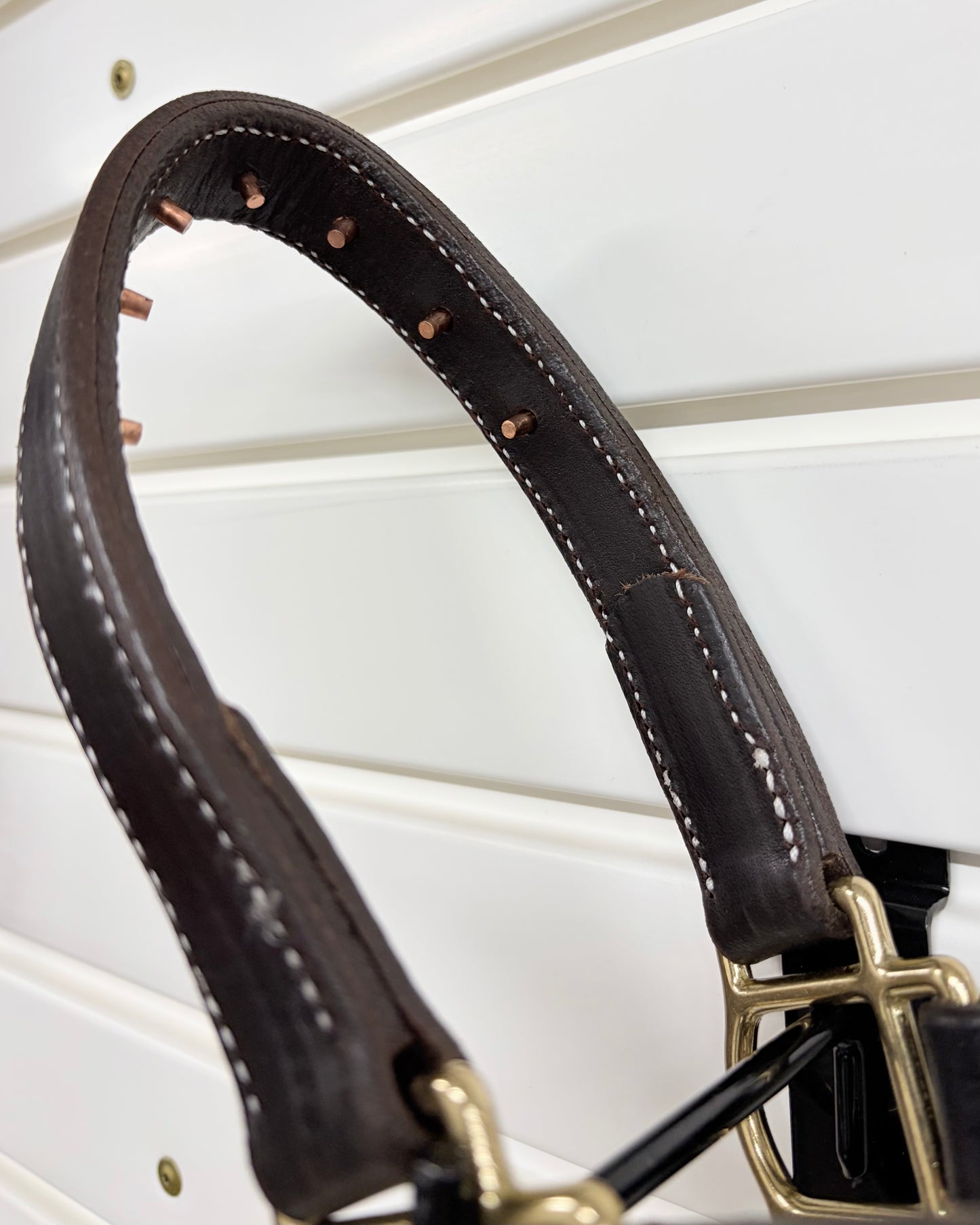 Rivet Leather Halter